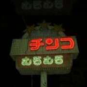 ヒメ日記 2025/03/31 14:39 投稿 さなえ 一夜妻