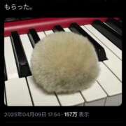 ヒメ日記 2025/04/14 01:35 投稿 さなえ 一夜妻