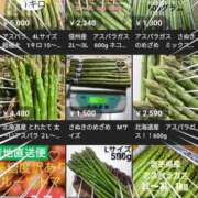 ヒメ日記 2025/04/15 14:49 投稿 さなえ 一夜妻