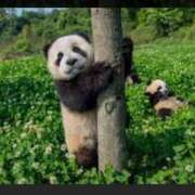 ヒメ日記 2025/04/25 05:19 投稿 さなえ 一夜妻