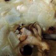 ヒメ日記 2025/04/26 18:59 投稿 さなえ 一夜妻