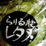 ヒメ日記 2025/04/29 16:59 投稿 さなえ 一夜妻