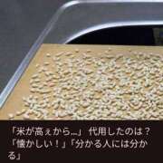 ヒメ日記 2025/05/07 14:59 投稿 さなえ 一夜妻