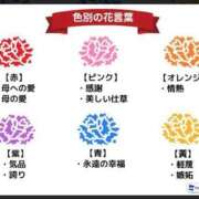 ヒメ日記 2025/05/08 18:35 投稿 さなえ 一夜妻