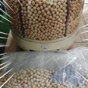 ヒメ日記 2025/05/09 11:14 投稿 さなえ 一夜妻