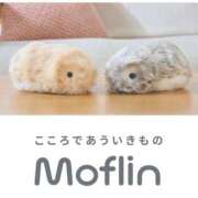 ヒメ日記 2025/05/11 17:09 投稿 さなえ 一夜妻