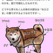 ヒメ日記 2025/05/17 00:19 投稿 さなえ 一夜妻