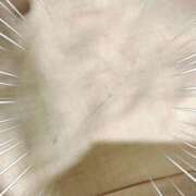 ヒメ日記 2025/05/19 17:13 投稿 さなえ 一夜妻