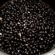 ヒメ日記 2025/06/03 23:19 投稿 さなえ 一夜妻