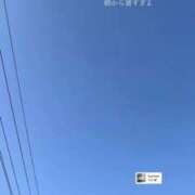 ヒメ日記 2025/07/24 14:59 投稿 さなえ 一夜妻