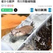 ヒメ日記 2025/07/24 23:29 投稿 さなえ 一夜妻