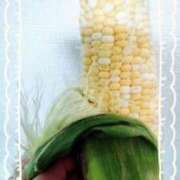 ヒメ日記 2025/07/29 00:11 投稿 さなえ 一夜妻