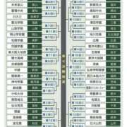 ヒメ日記 2025/08/03 22:19 投稿 さなえ 一夜妻