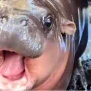 ヒメ日記 2025/08/25 15:23 投稿 さなえ 一夜妻