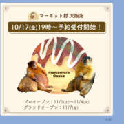 ヒメ日記 2025/10/17 14:39 投稿 さなえ 一夜妻