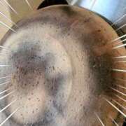 ヒメ日記 2025/11/04 12:53 投稿 さなえ 一夜妻