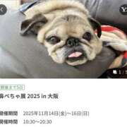 ヒメ日記 2025/11/09 15:09 投稿 さなえ 一夜妻