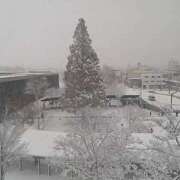 ヒメ日記 2025/11/18 14:59 投稿 さなえ 一夜妻