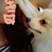 ヒメ日記 2025/11/22 22:09 投稿 さなえ 一夜妻