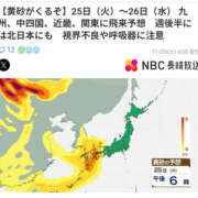 ヒメ日記 2025/11/25 15:09 投稿 さなえ 一夜妻