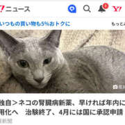 ヒメ日記 2026/01/07 22:39 投稿 さなえ 一夜妻