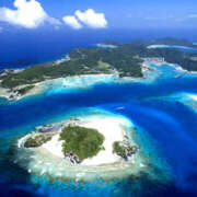 ヒメ日記 2026/01/16 13:19 投稿 さなえ 一夜妻