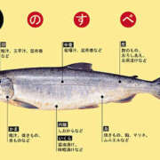 ヒメ日記 2026/07/08 21:39 投稿 さなえ 一夜妻