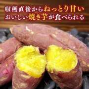 ヒメ日記 2026/09/24 13:11 投稿 さなえ 一夜妻