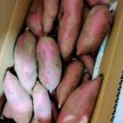 ヒメ日記 2026/09/24 22:31 投稿 さなえ 一夜妻