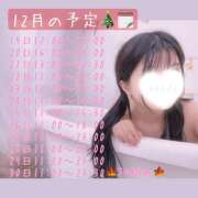 ヒメ日記 2024/12/19 00:08 投稿 かえで かりんと神田