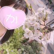 ヒメ日記 2025/04/04 12:08 投稿 かえで かりんと神田