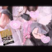 ヒメ日記 2025/04/08 14:31 投稿 かえで かりんと神田