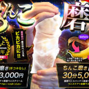 ヒメ日記 2025/10/17 17:26 投稿 かえで かりんと神田