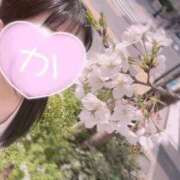 ヒメ日記 2025/04/04 12:14 投稿 かえで 神田添い寝女子