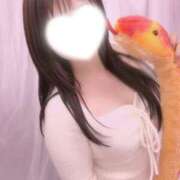 ヒメ日記 2025/12/30 13:17 投稿 かえで 神田添い寝女子