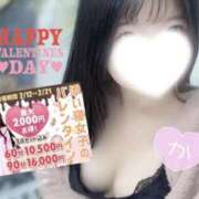 ヒメ日記 2026/02/14 01:32 投稿 かえで 神田添い寝女子