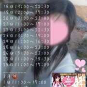 ヒメ日記 2026/02/18 15:59 投稿 かえで 神田添い寝女子