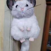 ヒメ日記 2024/12/11 03:07 投稿 白木もえエグゼクティブ -NEO-皇帝別館（中央街）