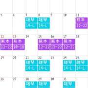 ヒメ日記 2024/12/31 12:53 投稿 白木もえエグゼクティブ -NEO-皇帝別館（中央街）