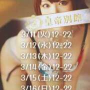 ヒメ日記 2025/03/15 17:37 投稿 白木もえエグゼクティブ -NEO-皇帝別館（中央街）