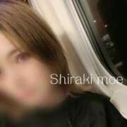 ヒメ日記 2025/04/02 02:37 投稿 白木もえエグゼクティブ -NEO-皇帝別館（中央街）