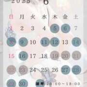 ヒメ日記 2025/06/20 13:17 投稿 白木もえエグゼクティブ -NEO-皇帝別館（中央街）