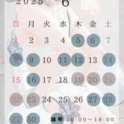 ヒメ日記 2025/06/21 21:47 投稿 白木もえエグゼクティブ -NEO-皇帝別館（中央街）