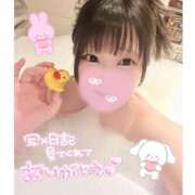 ヒメ日記 2025/04/06 15:41 投稿 さいか 丸妻 新横浜店