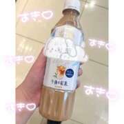 ヒメ日記 2025/04/29 06:00 投稿 さいか 丸妻 新横浜店