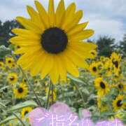 ヒメ日記 2025/07/27 19:56 投稿 理恵（りえ） 人妻の蜜