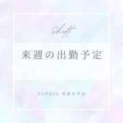 ヒメ日記 2025/03/08 19:36 投稿 西森かずは 札幌ソフィア