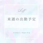 ヒメ日記 2025/03/16 20:19 投稿 西森かずは 札幌ソフィア