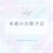 ヒメ日記 2025/03/22 23:49 投稿 西森かずは 札幌ソフィア