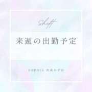 ヒメ日記 2025/04/26 17:30 投稿 西森かずは 札幌ソフィア